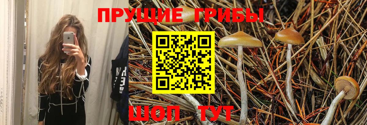 Галлюциногенные грибы мухоморы  купить наркоту  Торжок  Вход с VPN 